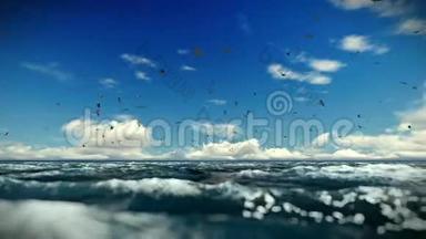 波涛汹涌的大海和海鸥，时间流逝的云彩，包括声音